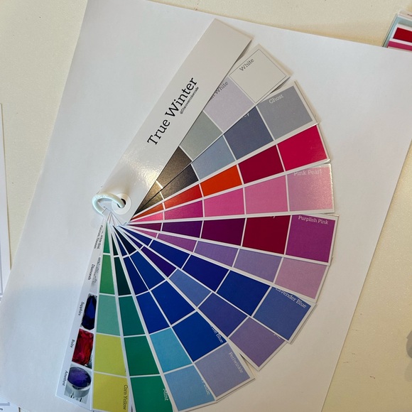 Color Swatch Fan Cool Winter / True Winter - Color Analysis - Picture 11 of 14